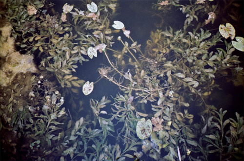 Photographer Jurate Gacionyte photography