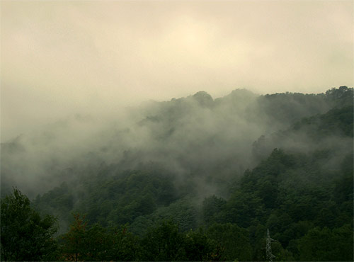 photographer photography ana-marija cupin serbia
