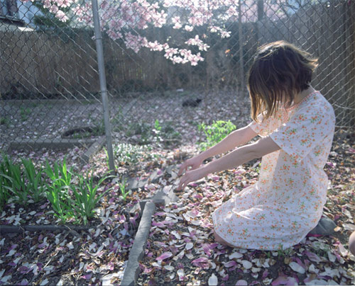 bridget collins photographer photography