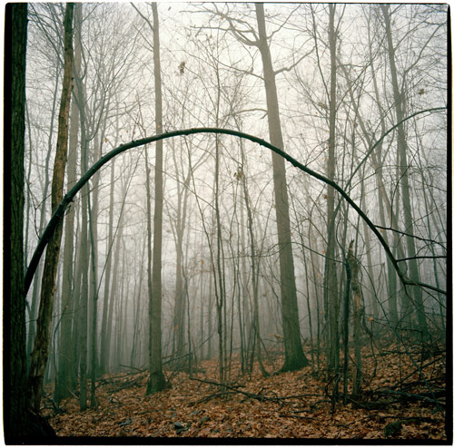 dan allegretto photographer photography