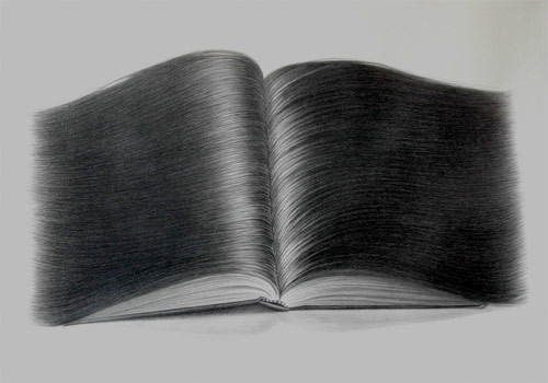 Hair drawings by artist Hong Chun Zhang
