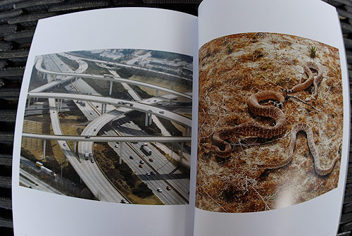 lay flat publication art photography