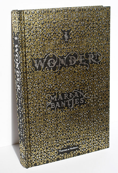 marian bantjes i wonder book