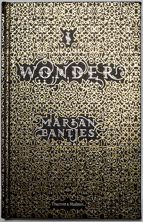 marian bantjes i wonder book