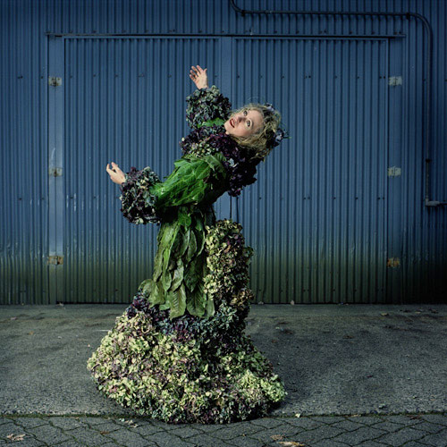nicole dextras ephemeral sculptures by nicole dextras