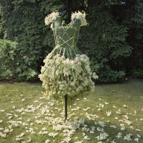 nicole dextras ephemeral sculptures by nicole dextras