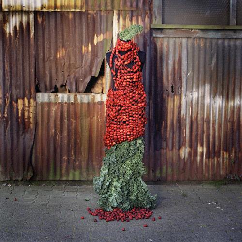 nicole dextras ephemeral sculptures by nicole dextras