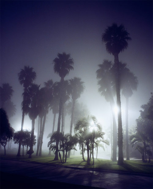 this los angeles transplants photography show