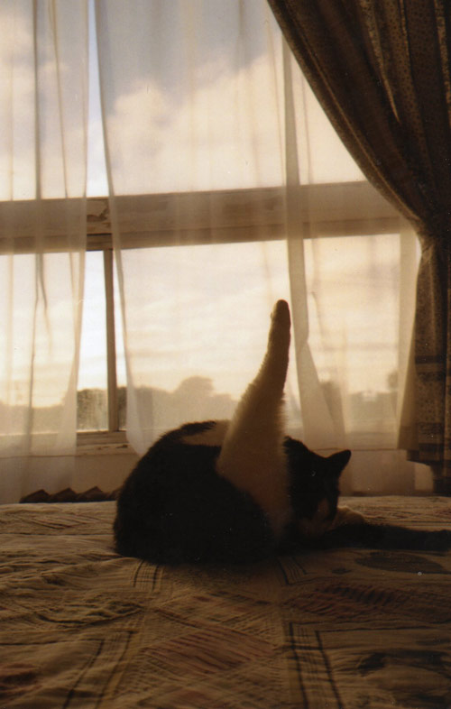 small victories 101 photos by 101 photographers hong kong above second gallery