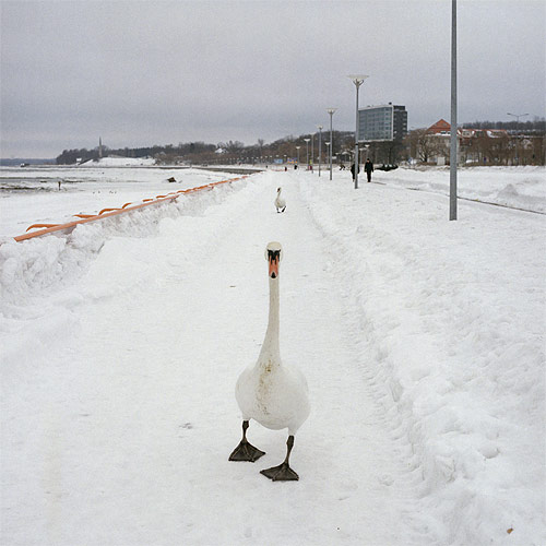 photographer photography andris feldmanis
