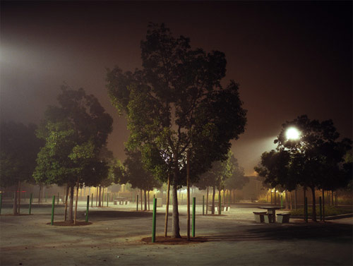 amanda friedman photographer photography