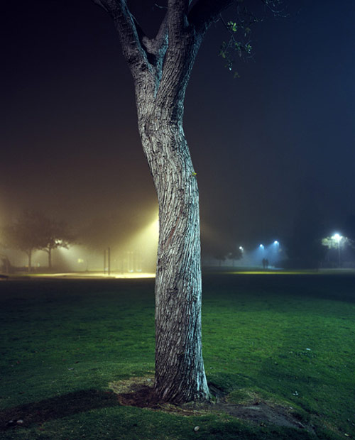 amanda friedman photographer photography
