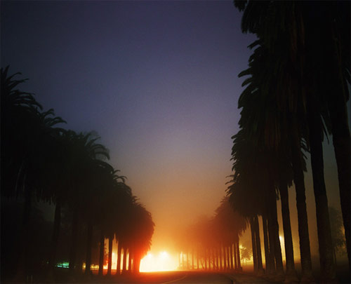 amanda friedman photographer photography