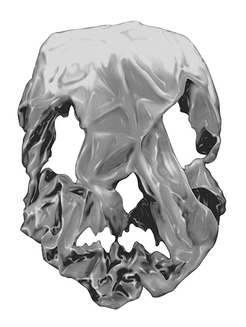 Artist illustrator Jesse Auersalo illustration drawing
