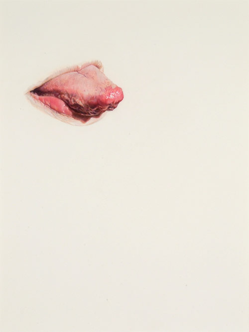 artist julia randall colored pencil drawing lips lick line