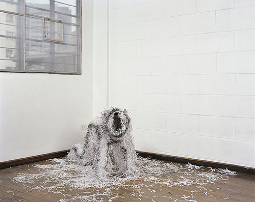 gina osterloh artist photographer photography