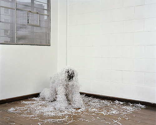gina osterloh artist photographer photography