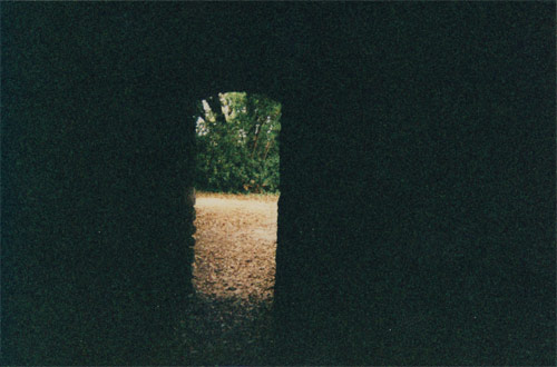 lewis manchu photographer photography