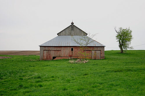 matt niebuhr photographer photography