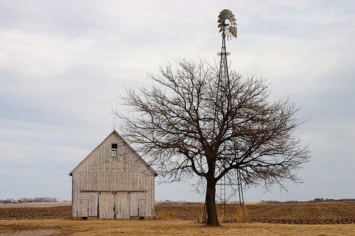 matt niebuhr photographer photography