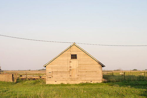 matt niebuhr photographer photography