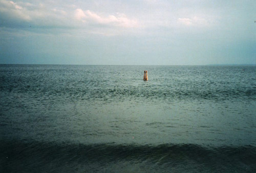 small victories photography show booooooom vancouver-based blog