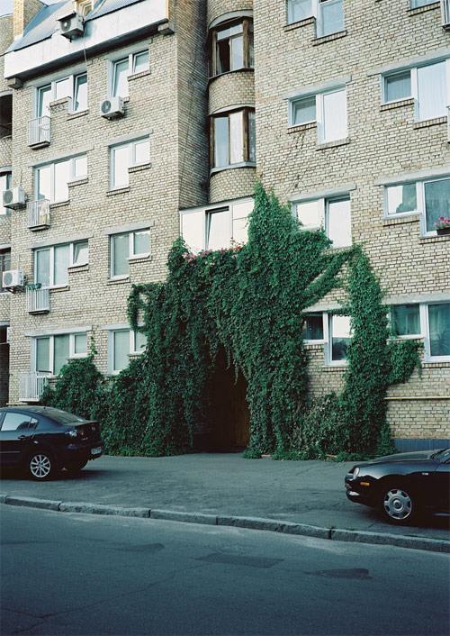 maximus chatsky photographer photography