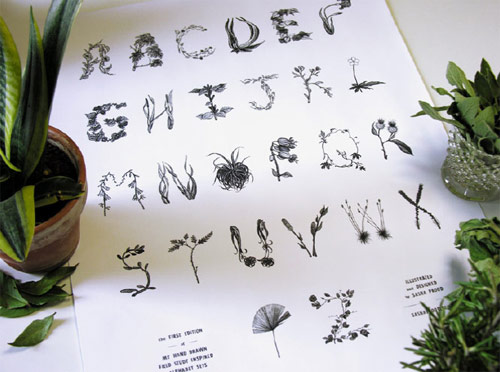 sasha prood type design illustration illustrator