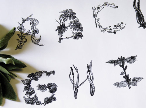 sasha prood type design illustration illustrator