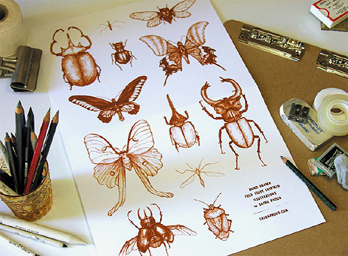 sasha prood type design illustration illustrator