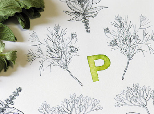 sasha prood type design illustration illustrator