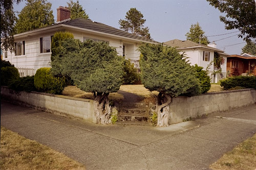 ali bosworth photographer photography