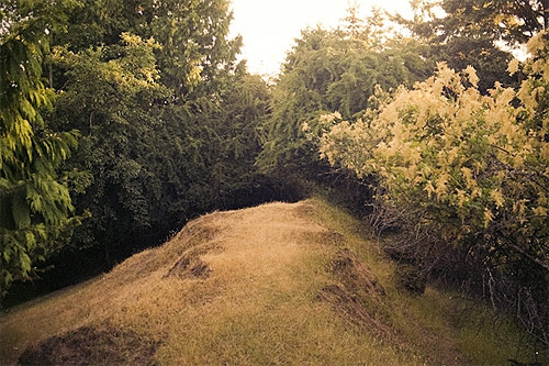 ali bosworth photographer photography