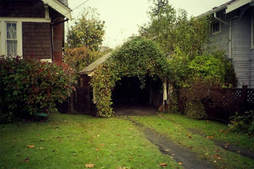 ali bosworth photographer photography