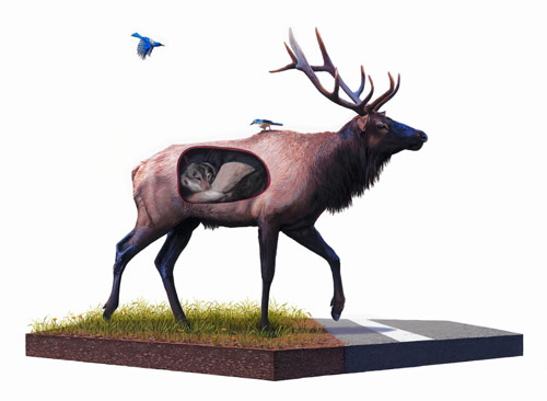 artist painter painting josh keyes