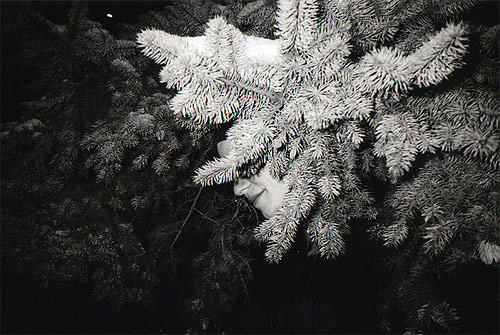 photography photographer Julia Agafonova