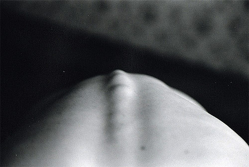 photography photographer Julia Agafonova