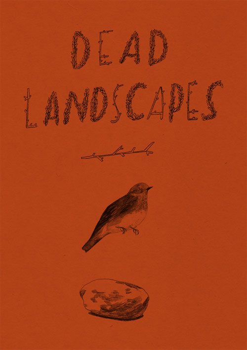 lizzy stewart illustration illustrator drawing