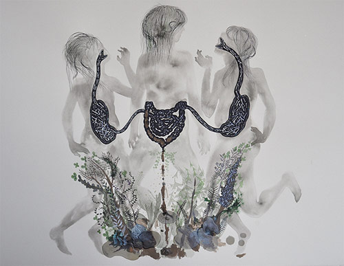 artist megan diddie drawing