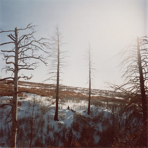 Photographer Mikael Kennedy