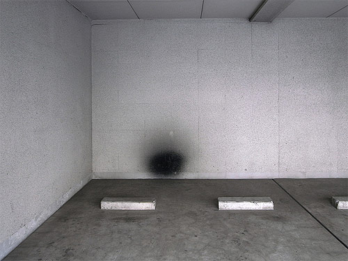 ariel schlesinger photographer artist sculptor