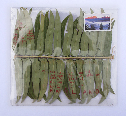 riitta ikonen mail art margaret huber