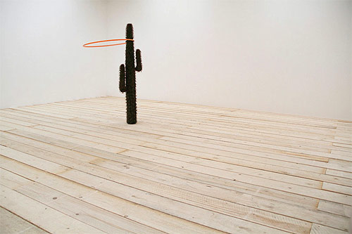 robert barta hula hoop cactus sculpture video art