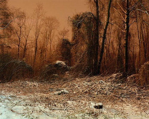 David Takashi Favrod photographer photography