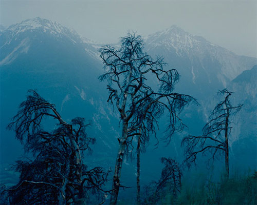 David Takashi Favrod photographer photography