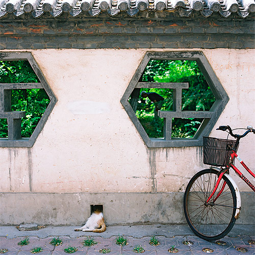 photographer jeremy osullivan