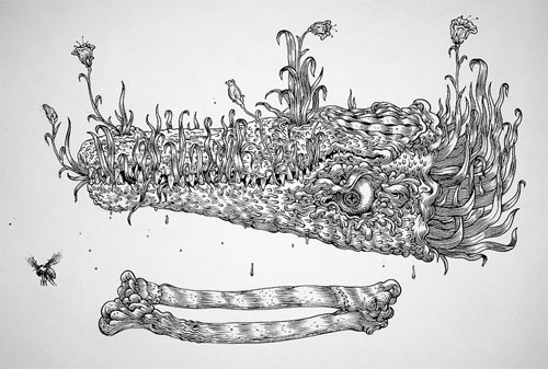 artist jesse balmer drawing