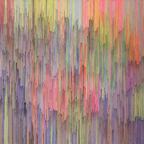 artist joan salo