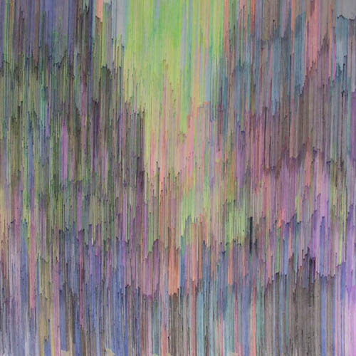 artist joan salo