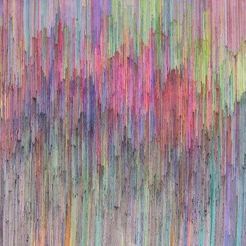 artist joan salo